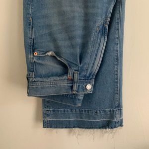 Nearly New! Gap Wide High Rise Pleated Denim Trouser with Washwell